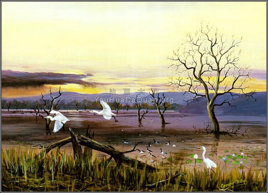 Australian Bush - 乔治·菲利普斯